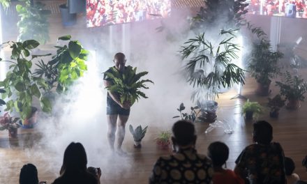 International Curators Program: Asia Pacific Triennial x TarraWarra Biennial