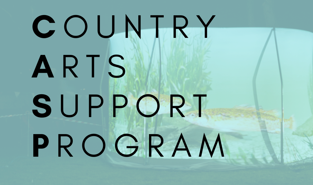 COUNTRY ARTS SUPPORT PROGRAM (CASP) | MURRAY ARTS