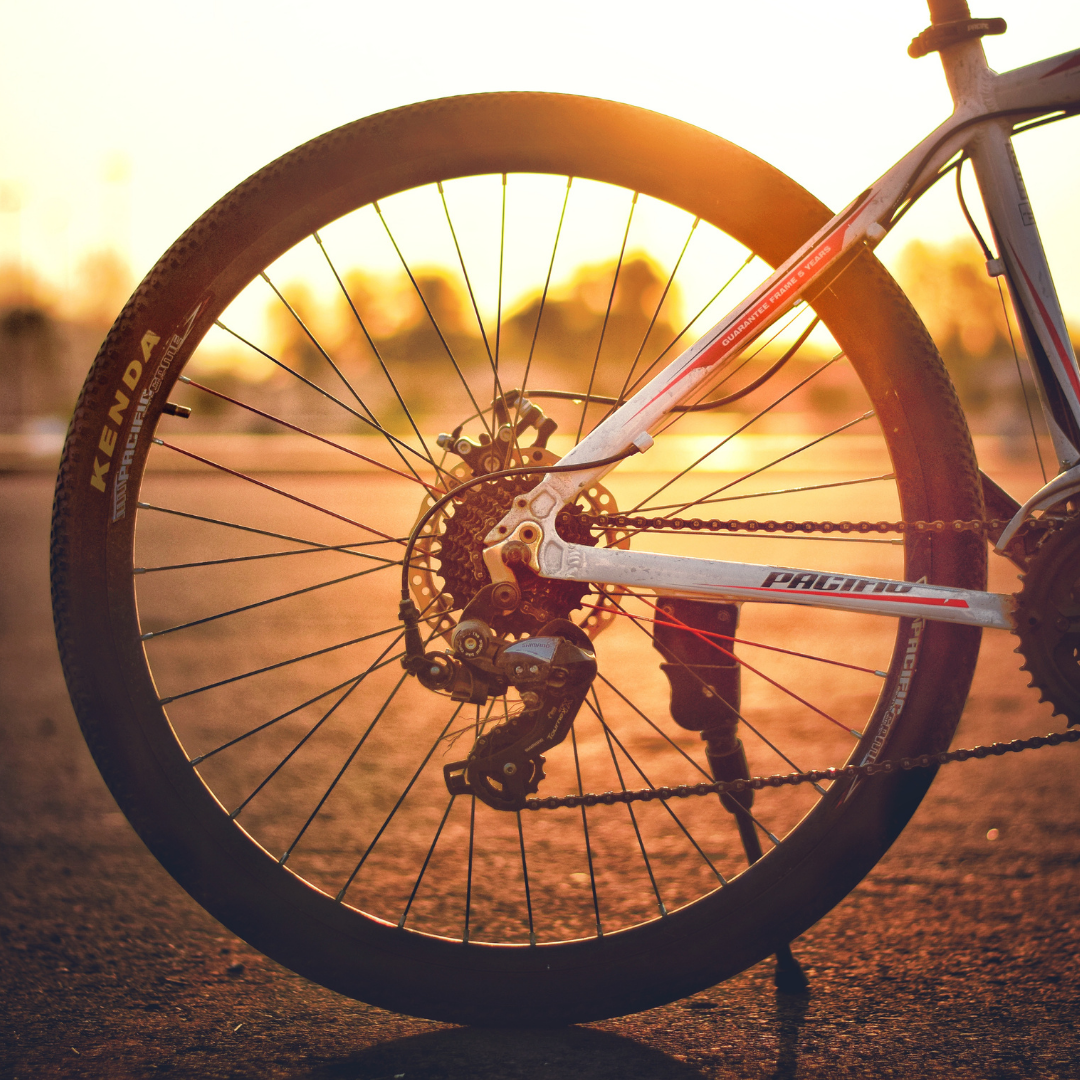 bicycle wheel with sunset in background